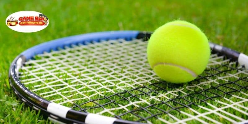 Cá cược thể thao Tennis đơn giản dễ dàng 