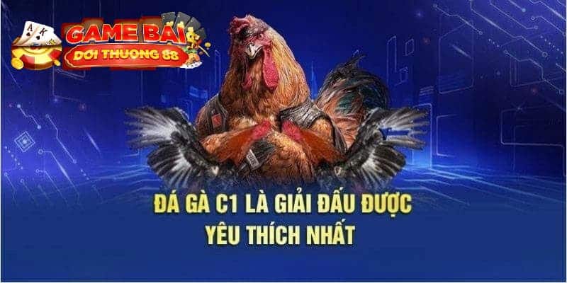 Định nghĩa về đá gà trực tiếp C1 là gì?